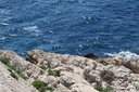 gal/cro 08/_thb_small-IMG_5212.JPG